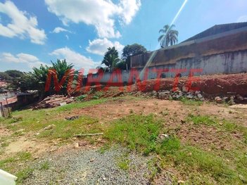 land_lot em Rua Penaforte, Vila Paulista - São Paulo - SP