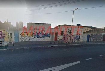business em Rua Paulo de Faria, Vila Gustavo - São Paulo - SP
