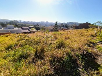 land_lot em Rua Pedro Reynaldo Scotá, Lomba da Palmeira - Sapucaia do Sul - RS