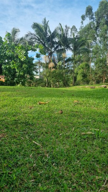 land_lot em Estrada Timbé, Timbe - Tijucas - SC