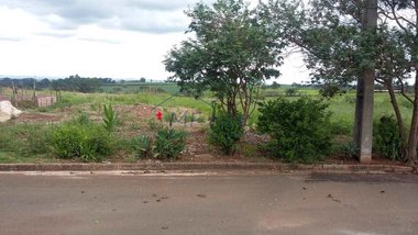 land_lot em Rua Maria José Metzner, Jardim Milenium - Pirassununga - SP