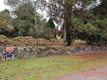land_lot em Rua Guarani, São Francisco de Paula - São Francisco de Paula - RS