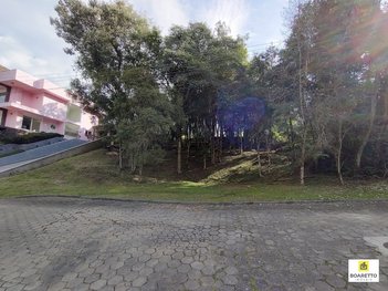 land_lot em Rua Augusto Wunderwald, Centenário - São Bento do Sul - SC