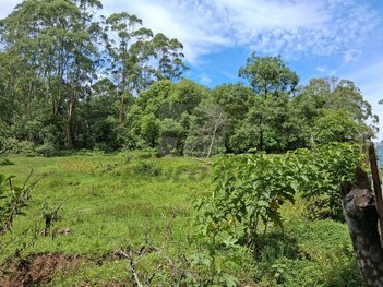 commercial_land_lot em Rua Elisha Otis, Cooperativa - São Bernardo do Campo - SP