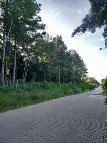 land_lot em Alberto Adolpho Fruchtenicht, Campestre - São Leopoldo - RS