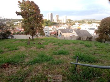 land_lot em Rua Padre Roque, Centro - Mogi Mirim - SP