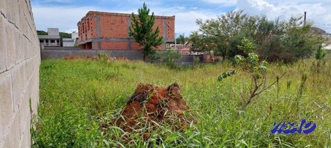land_lot em Rua Dália Rosa, Forquilhas - São José - SC
