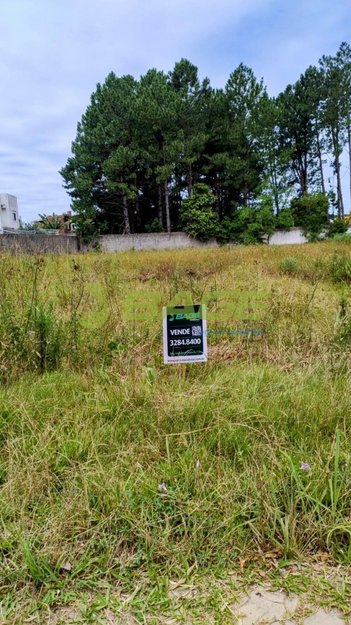 land_lot em Cidade de Viseu, Laranjal - Pelotas - RS
