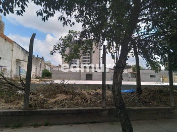 land_lot em Gil Vicente, Silveira - Santo André - SP
