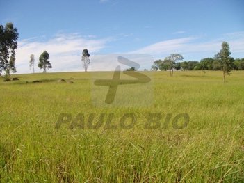 commercial_land_lot em Praça da Independência, Centro - Itu - SP