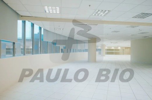 Captura de tela 2025-05-29 101947