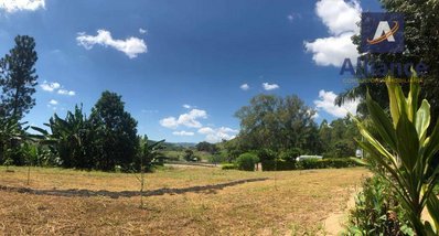 commercial_property em Rodovia Lourival Lindório de Faria, Zona Rural - São Sebastião da Grama - SP