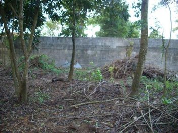 commercial_land_lot em Rua José Abrahão Tannus, Chácaras Reunidas Guaio - Suzano - SP