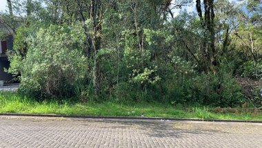 land_lot em Rua Pessegueiro, Carniel - Gramado - RS