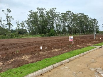 land_lot em Rua Lucas Peruchi, São Defende - Criciúma - SC