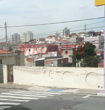land_lot em Rio Doce, Vila Gustavo - São Paulo - SP