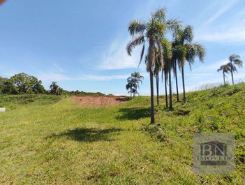 land_lot em Avenida Prefeito Orlando Oscar Baumhardt, Linha Santa Cruz - Santa Cruz do Sul - RS