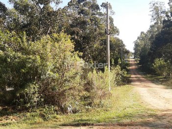 land_lot em Rua do Entrelacamento, Centro - Eldorado do Sul - RS