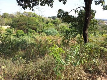 land_lot em Rua Sessenta e Seis, Tropical - Contagem - MG