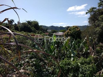 land_lot em Rua Vó Olinda, Boa Vista - Salvador do Sul - RS
