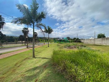 land_lot em Rua Pioneiro Carlos Bulla, Alto das Grevíleas - Maringá - PR