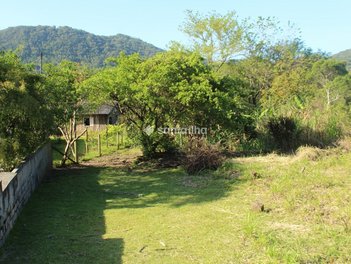 commercial_land_lot em Rodovia Doutor Antônio Luiz Moura Gonzaga, Rio Tavares - Florianópolis - SC