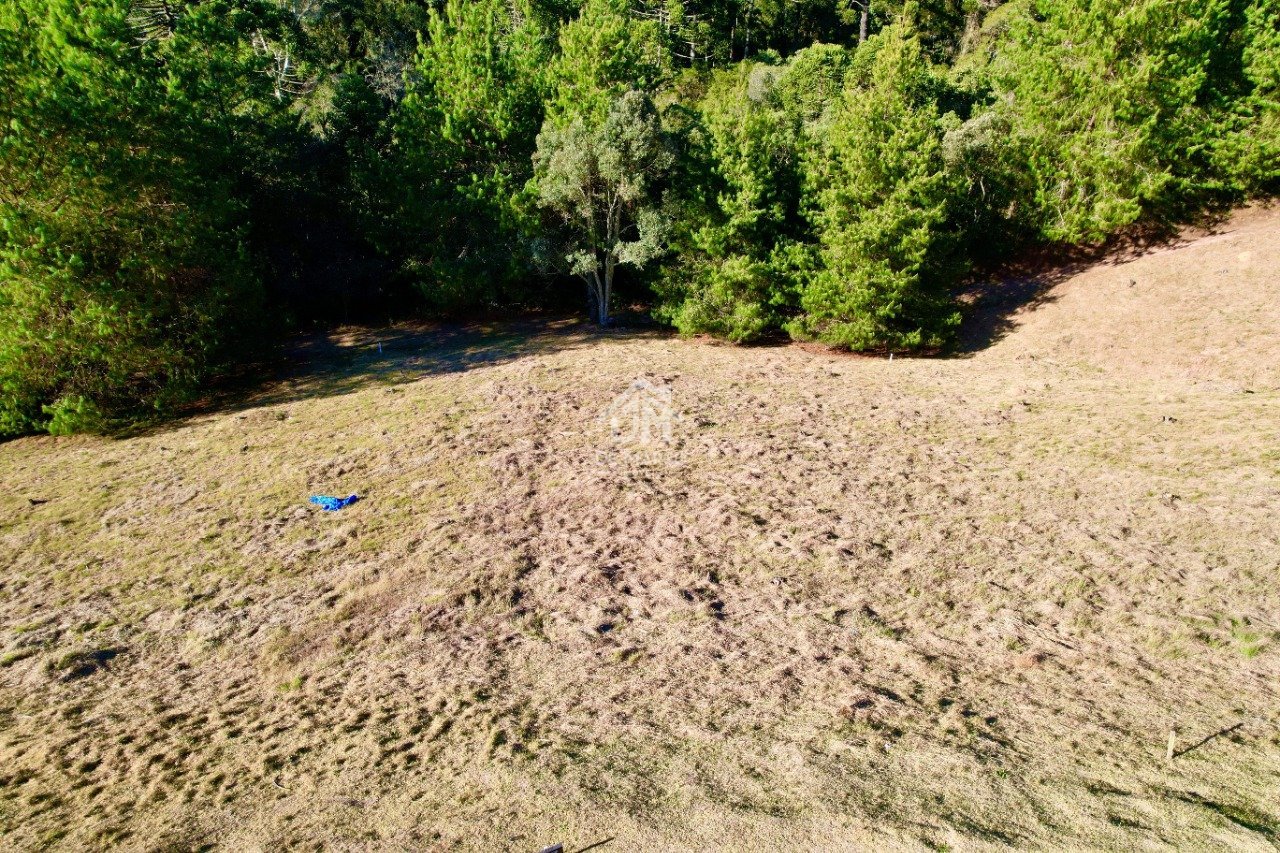 dji_fly_20250813_153718_88_1755283217552_photo