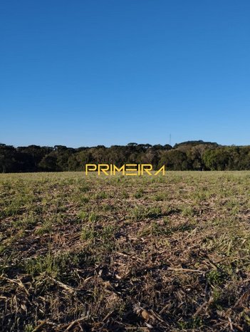 land_lot em Rua São Benedito, Salgadinho - Campo Largo - PR