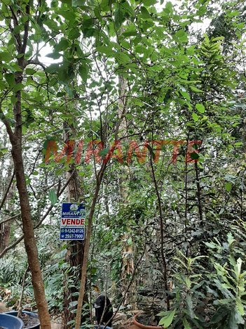 land_lot em Coronel Agostinho Da Fonseca, Tucuruvi - São Paulo - SP