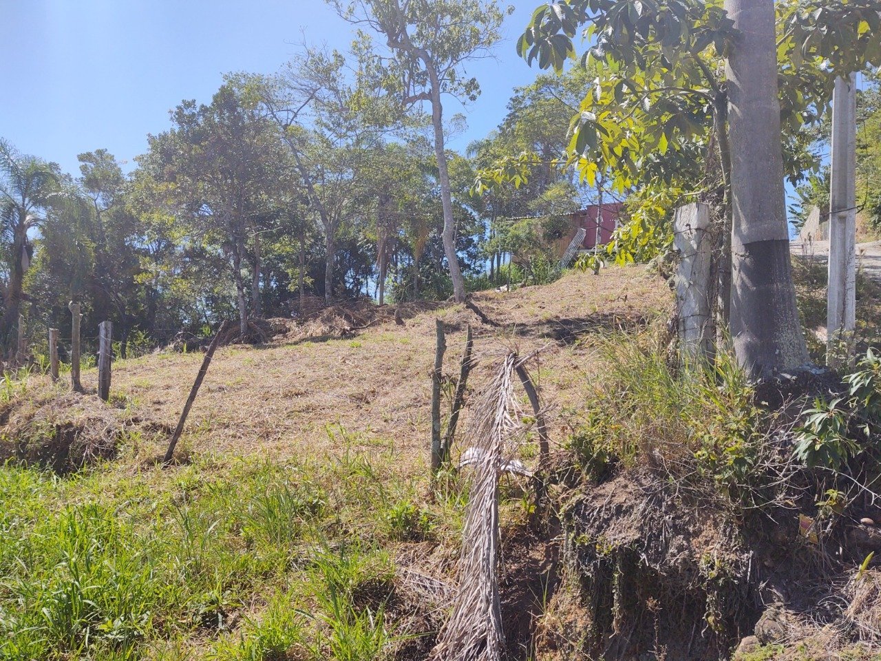 Foto 04