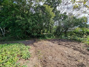 land_lot em Isaurino Germano Vidal, Rio Tavares - Florianópolis - SC