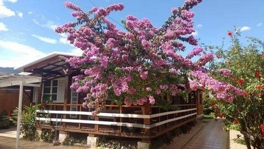 house em Rua Doutor Enio Barbato, Centro - Bertioga - SP