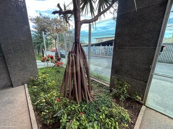 apartment em Rua Frutal, Santa Efigênia - Belo Horizonte - MG