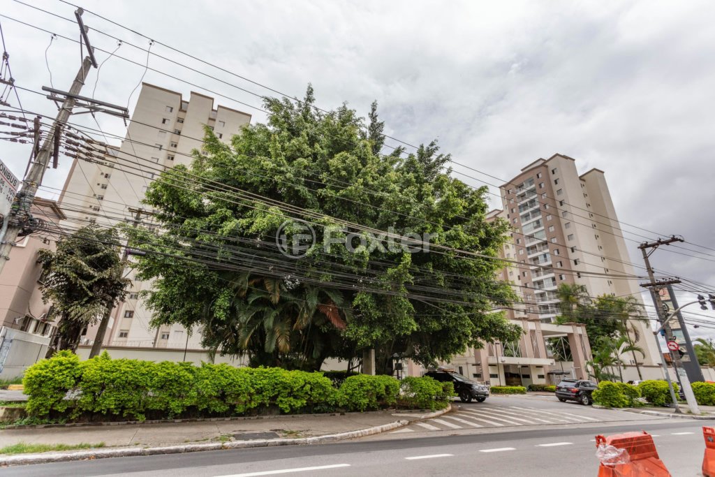 03-INFRA-24401-PROJETO-VIVER-CELSO-GARCIA-841820.JPG