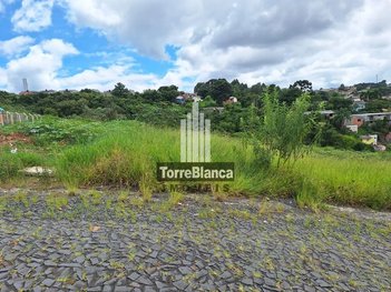 land_lot em Rua José de Oliveira Franco, Chapada - Ponta Grossa - PR