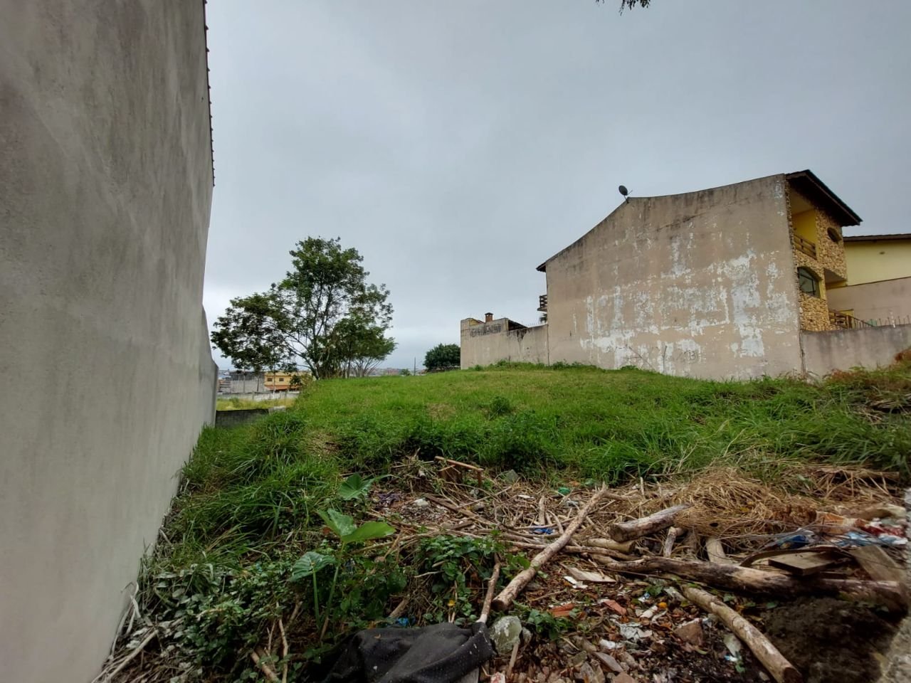 foto_certa_migr - 2
