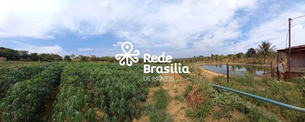 4 - Plantação de Mandioca | Foto_migracao | 3