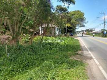 land_lot em Francisco Thomaz dos Santos, Pântano do Sul - Florianópolis - SC