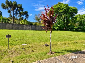 land_lot em Estrada Bento Osvaldo Trisch, Pedancino - Caxias do Sul - RS