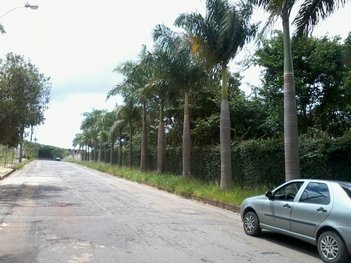 land_lot em Rua Edeltônio Frota Cruz, Garças - Belo Horizonte - MG