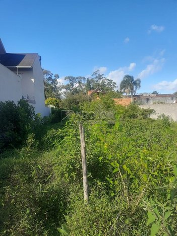 land_lot em Sinha Costinha, Três Vendas - Pelotas - RS
