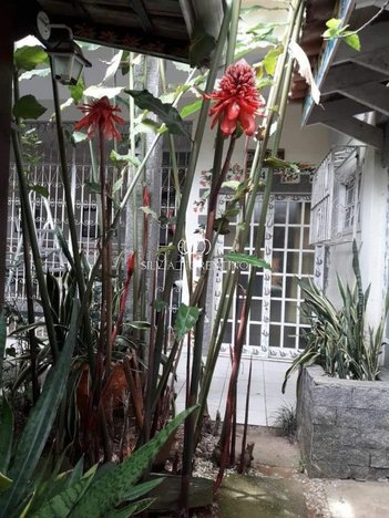 house em Rua Euzébio da Cunha, Perequê Mirim - Ubatuba - SP