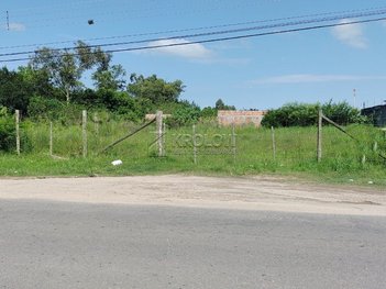 land_lot em Avenida Engenheiro Ildefonso Simões Lopes, Três Vendas - Pelotas - RS