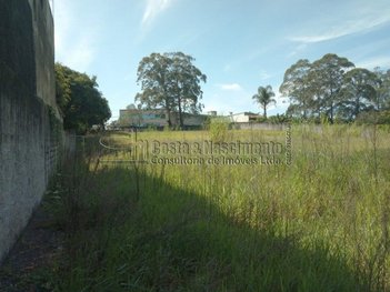 land_lot em Estrada dos Casa, Dos Casa - São Bernardo do Campo - SP