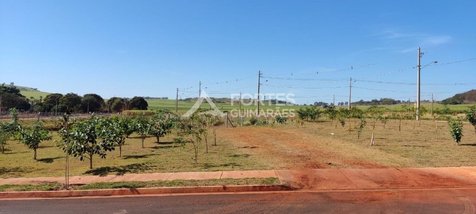 land_lot em Rua Quatro, Fazenda Santa Rita do Picadão - Ribeirão Preto - SP