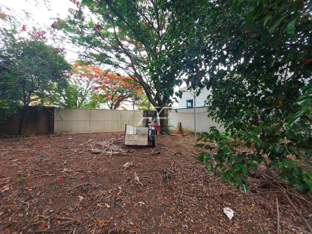 Terreno