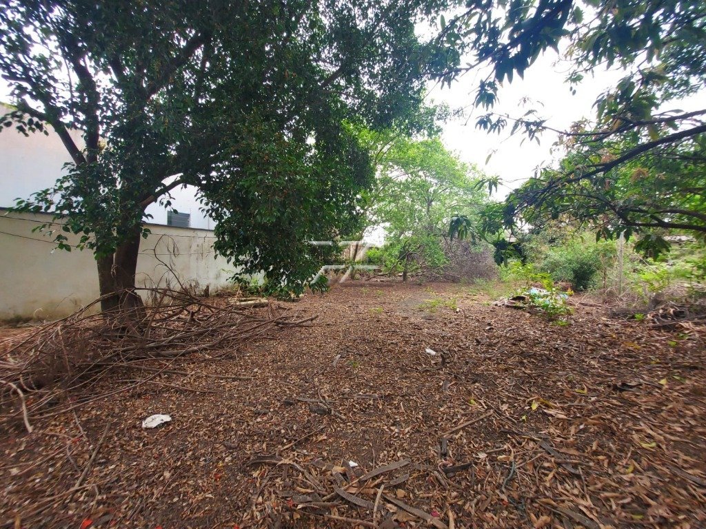 Terreno