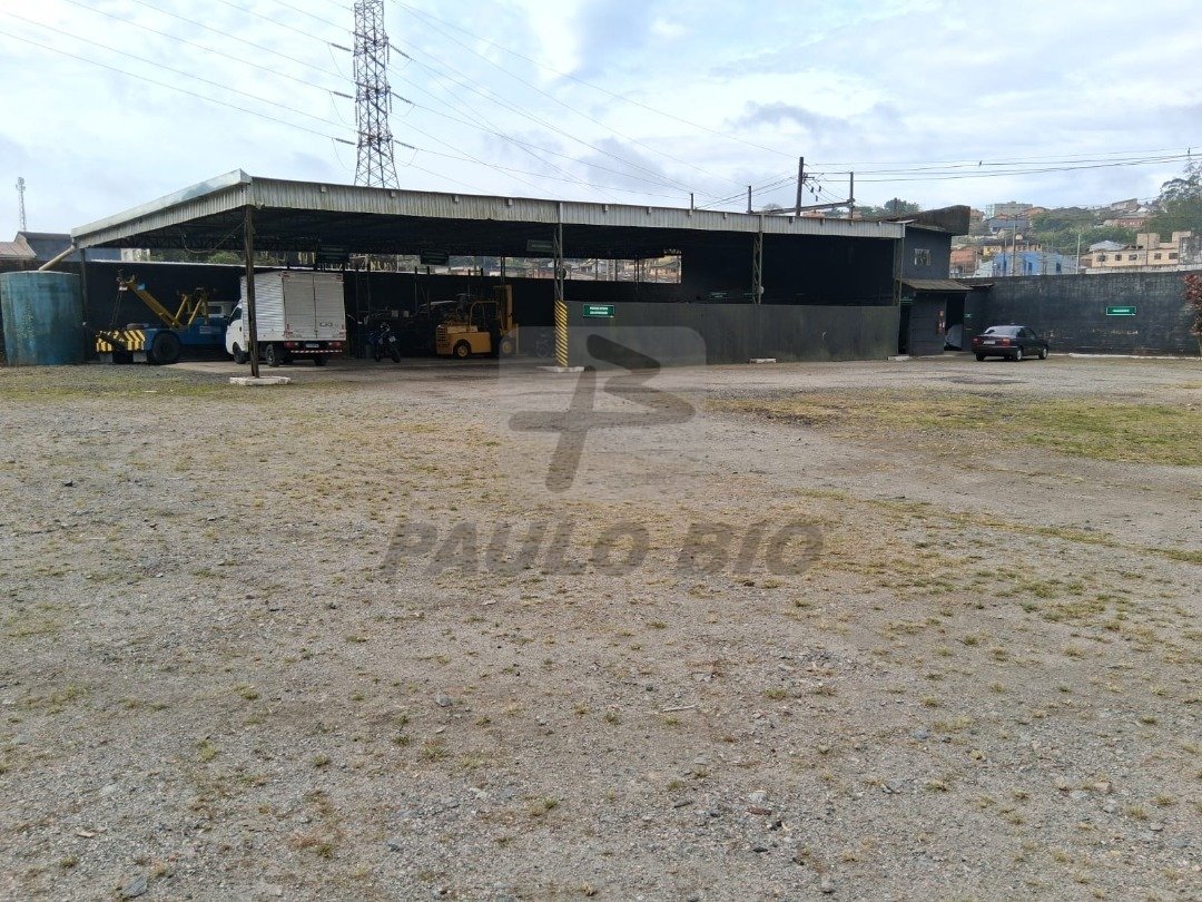 WhatsApp Image 2025-07-29 at 15.46