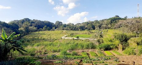 commercial_land_lot em Avenida Ângelo Piovani, Jardim Alto de Santa Cruz - Itatiba - SP