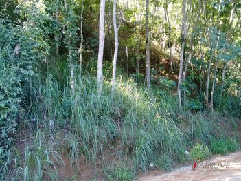 land_lot em Rua Carlos Tyll, Samambaia - Petrópolis - RJ
